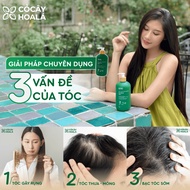 [FIRE] Combo Herbal Shampoo x2 Manly For Men, 2in1 Herbal Conditioner Shampoo Polygonum 420g