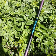 Joran Tegek 720 Joran Pancing Panjang 5.8m Joran Pancing 1 Set Murah Hantu Tua Hand Fishing Rod