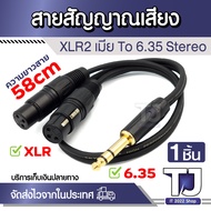 Cable 6.35mm Male To XLR 2 Female Length 58cm Stereo Audio Waste
