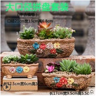 Succulent pottery pottery ceramic Indoor breathable meat pot