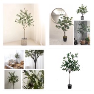Pokok Viral -Premium ARTIFICIAL Eucalyptus /OLIVE Tree PLANT  LOOK REAL