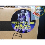 HY2M PG 1/24 GUNDAM GUNDAM RX-78 G3 G-3 Metallic Plating Limited