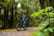 Fox Glacier Valley E-Bike &amp; Hike