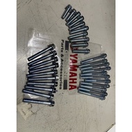 Yamaha 125 125z 125zr y125 y125z y125zr Engine Screw Cover Enjin Skru Full Set screw casing engine t