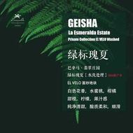 2024 New Production Season Panama Jade Manor Green Label Geisha Geisha Washed Coffee Beans Hand-made