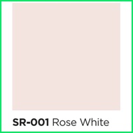 ☏  DAVIES 4 liters SUN AND RAIN Odorless Elastomeric Paint for Concrete/Masonry