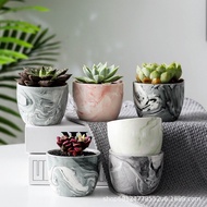 Ready Stock 现货 - Small Succulent plant Marble pattern ceramic garden flower pot. 大理石纹款式多肉植物陶瓷花盆