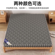 Rent 1.5 Bedroom Mattress Hard Mattress Foldable House Coconut Palm Children Supply Chain Palm 1.8 H