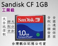 Sandisk工業級CF 1G 1gb 另32mb 64mb 128m 256mb 512mb 2GB 另創見 4G