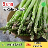 เมล็ดพันธุ์ หน่อไม้ฝรั่งบรรจุ 50 เมล็ด