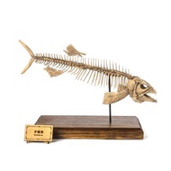 古生物3D列印模型-矛齒魚 (請選宅配)