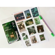 poison tree Price & Promotion-Feb 2025 | BigGo Malaysia