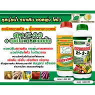 ปุ๋ยน้ำ NPK เสริมอะมิโน สูตร 21-3-3 ขนาด1 ลิตร + สูตรระเบิดราก ชนิดน้ำ ขนาด 1 ลิตร อย่างละ 1 ขวด