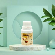 Produk Terbaru Larome / larome Perasa Vanila Susu Perasa Makanan dan Minuman bahan adonan kue kering