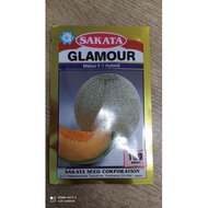 Benih Rock Melon Glamour F1 Sakata Seed 100 Seeds