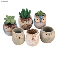 6Pcs/Set Ceramic Owl Pot Succulent Plant Cactus Flower Pot Container Planter Bonsai Pots