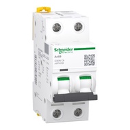IC60N - Miniature Circuit Breaker - 2P - 6A - C curve A9F74206