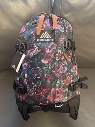 Gregory Backpack