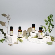 草本系列 | 單方茶樹精油 Tea Tree 防疫好夥伴