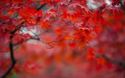 For Bosch 9.6V 4800mAh Replace NI-CD Screwdriver Electric Tool Rechargeable Battery Model PSR 960 BH