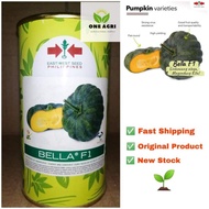 ◐☽BELLA F1 Hybrid SEEDS 100grams.  (EAST-WEST SEEDS)