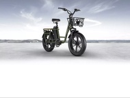 จักรยานไฟฟ้า Fiido T1 Cargo As the Picture One