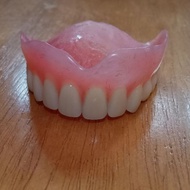 Gigi palsu acrylic full rahang atas (14 gigi)
