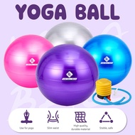Bettergrowph Yoga Ball Fitness Ball Balance Glossy Ball Pilates Stability Gym Giant Ball + AIRPUMP Y