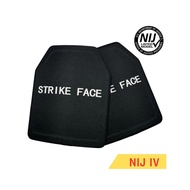 Level 4 Plate Size 10*12 Inches