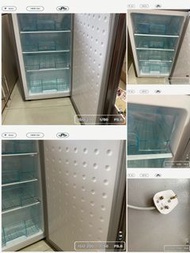 母乳雪櫃/迷你冷凍櫃