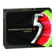 5 GUM TEMPEST WATERMELON  32G X 10 CHEWING GUM (RED)