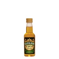 Napoleon VSOP 50ml Miniature | Filipino Brandy