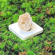 瑪瑙可愛開運招財樹白晶洞 能量水晶擺飾 招財聚財 療癒 快速出貨