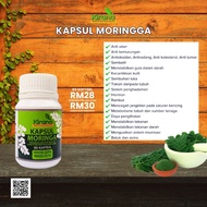 Kapsul Moringga 60 capsules