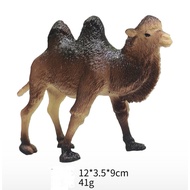 Camel - Camel animal toys - Camel display - Camel figures - Camel animals - Camel animals - quality 