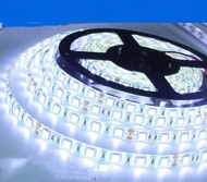 ไฟ LED เส้น Strip 12v 5050 60 เม็ด / เมตร 5 M แบบกันฝ มีกาว3M IP65 ไฟเส้นไฟ 12v ไฟ LED ไฟตกแต่งไฟติด