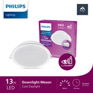 PHILIPS DOWNLIGHT MESON 13W 17W WHITE COOL DAYLIGHT