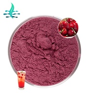 High Quality Natural Fruit Powder Tart Cherry Powder 99% black tart cherry fruit powder