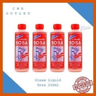 – ∟ ➲ Gleam Liquid Sosa & Gleam Muriatic Acid 250ml / 500ml