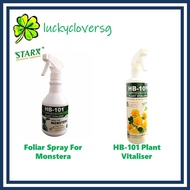 STARX Foliar Spray For Monstera - HB-101 Great For Monstera RTS / HB-101 Plant Vitaliser