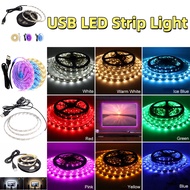 LED Strip Light USB Fairy Light Flexible Light Flexible Lights for Room Decoration Hiasan rumah