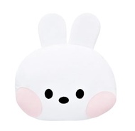 LINE FRIENDS - 公仔毛絨抱枕/攬枕-CONY(可插手)