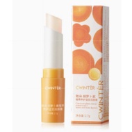 Lip Balm Vaseline Lip Balm