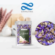 Forget Me Not Tea Flower Tea Forget Me Not 10g Original