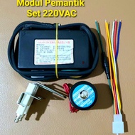 Set IC Board Igniter Modul Pemantik Oven Roasting Deep Fryer 220VAC