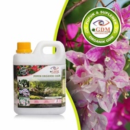 Sale PAKET GDM Pupuk Bunga Bougenville Organik 1 Liter QUALITY Murah