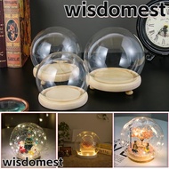 WISDOMEST Glass cloche Plants Terrarium Tabletop Spherical Terrarium Transparent Bottle Jar Flower Storage box