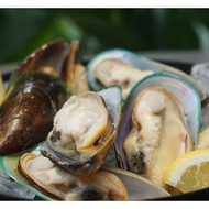[Catch Seafood] New Zealand Mussels
