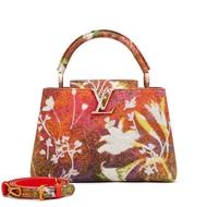 Louis Vuitton Sam Falls Artycapucines Embroidered Printed Canvas MM Capucines Gold Hardware, 2019