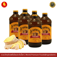 จิงเจอร์เบียร์ ไม่มีแอลกอฮอลล์ Bundaberg Ginger Beer 375 ml บันดาเบิร์กเครื่องดื่มรสเบียร์และขิง 375